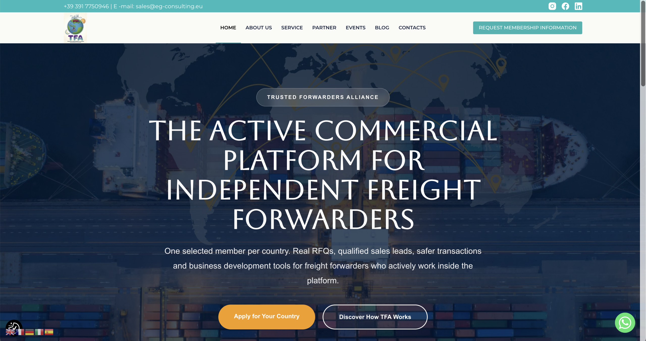 TF Alliance website designed by WSSWeb